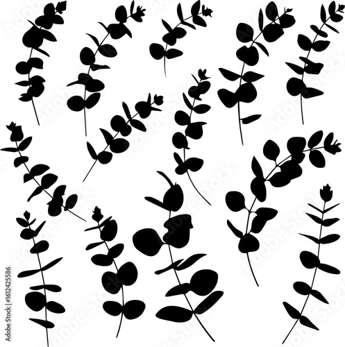 A collection of stylized black eucalyptus branches and leaves scattered across a white background, creating a simple, elegant botanical pattern.