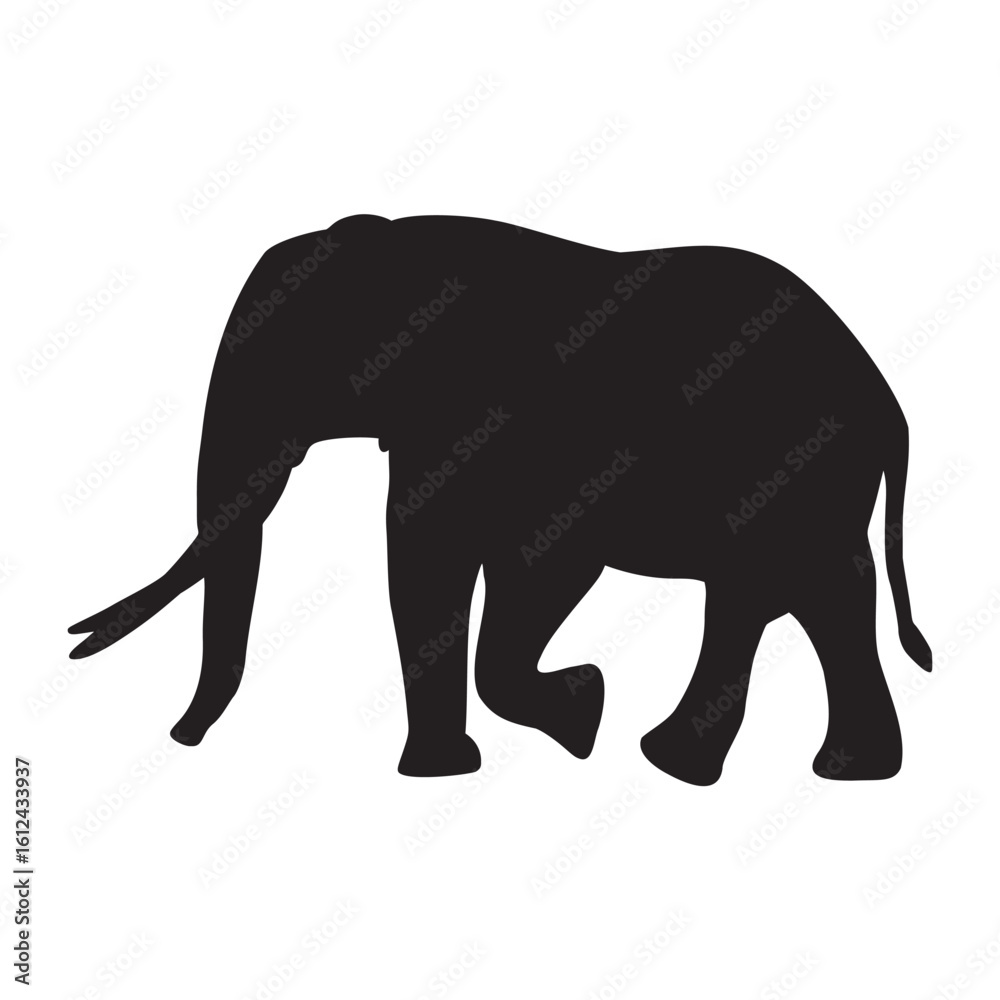 Fototapeta premium elephant silhouette
