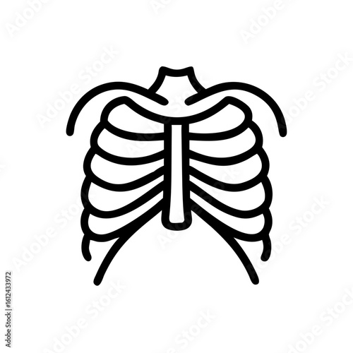 An illustrative depiction of the human rib cage, a fundamental part of the skeletal system, rendered in a simple, yet clear line art style, conveying the essence of anatomy.