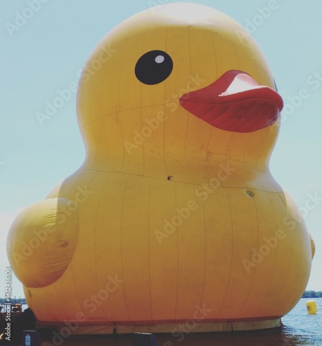 YELLOW DUCK