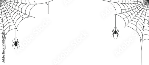 White Spooky Spiderweb & Spiders Design