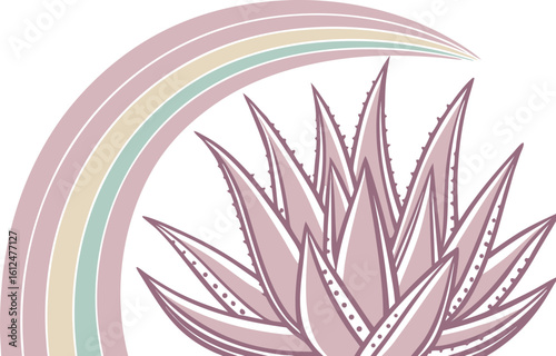 Pink aloe plant with pastel rainbow arc aloe vera