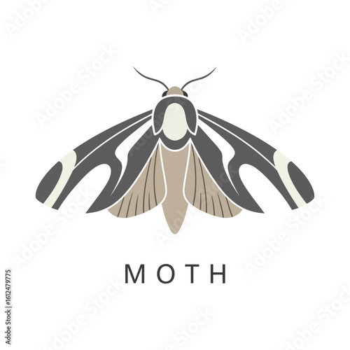 Stylized Moth Illustration with Unique Wing Pattern and Neutral Colors, nature-inspired vector design