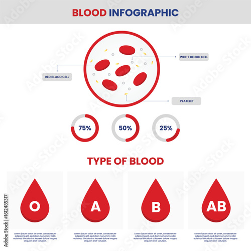 Type of blood infographic and blood composition vector illustration. Blood, blood donation, type blood.