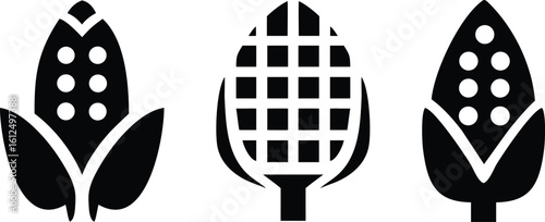 corn vector, corn icon vector illustration eps10 on transparent png
