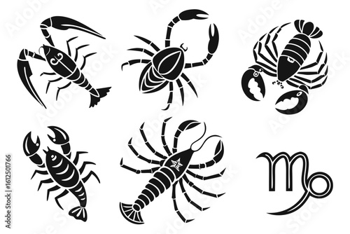 Zodiac Signs Cancer and Scorpio Stylized Illustrations.