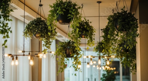 Lush green hanging plants cascade around stylish pendant lights with visible filament bulbs creating a warm ambiance in an indoor space green plants indoor plants