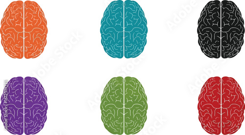 Brain health illustration concept for mental wellness and cognitive function