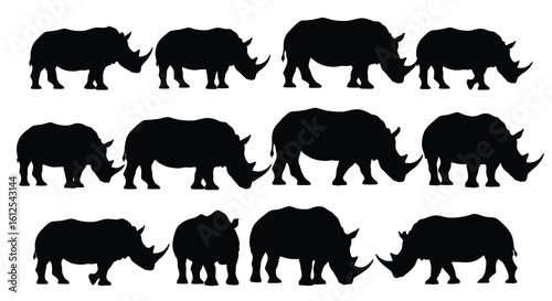 Magnificent Rhinoceros Silhouettes Representing Wildlife Conservation and Biodiversity with a Focus on African Ecosystems