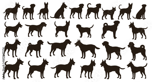 Seamless pattern of various dog breeds silhouettes pet animal background vector illustration for print textile fabric wallpaper decoration