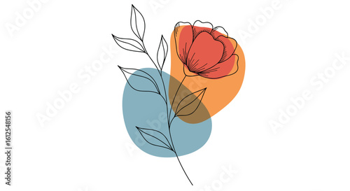 Abstract Botanical Art with Organic Shapes and Delicate Floral Illustrations for Modern Decor