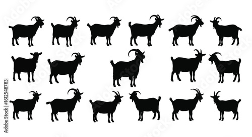 Seamless pattern of black goat silhouettes on white background livestock farm animals rural landscape domestic animals kids farm agriculture animal husbandry