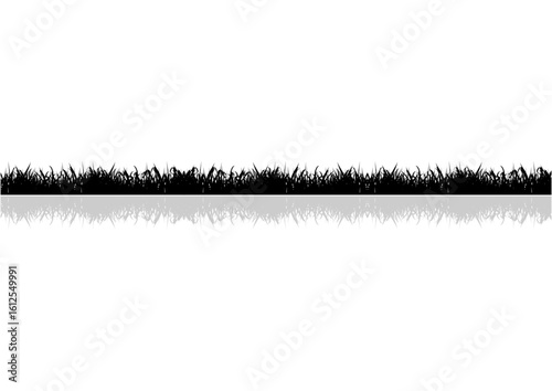 Black Grass Reflection: A stark contrast between the dark grass and its pristine reflection, inviting contemplation