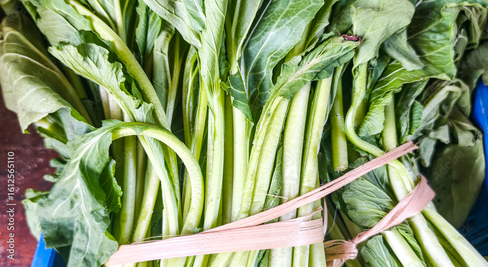 Obraz premium bunches of fresh green onions