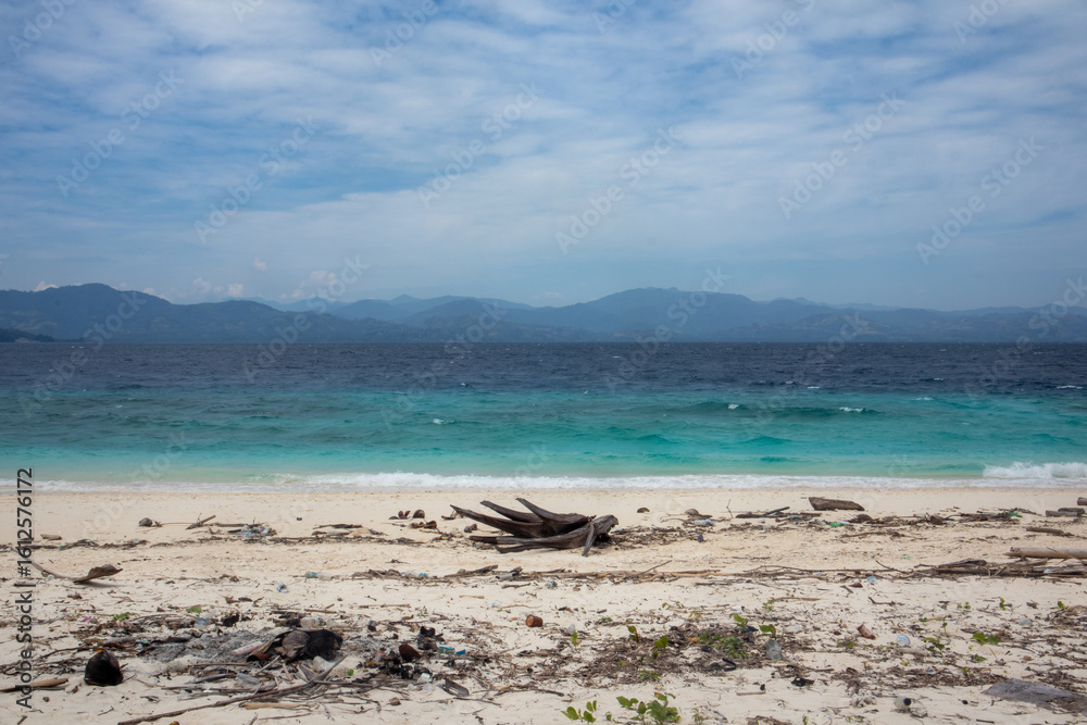 Obraz premium Scenic View of Beach with Driftwood and Mountains