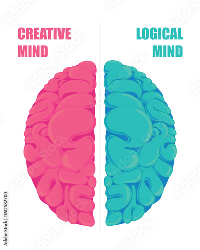 Abstract split brain illustration showing creative mind in pink and logical mind in blue. Ideal for mental balance, psychology, education, or intelligence concept visuals.