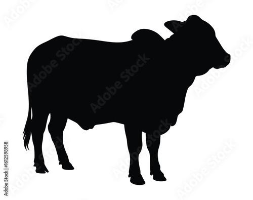 Brahman Cow Silhouette - Cattle Livestock Farm Animal