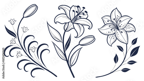 Elegant floral vector art with lily flowers and buds for botanical design projects and creative illustrations