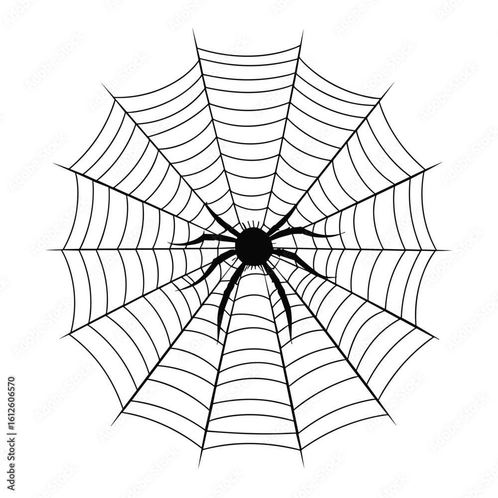 Fototapeta premium Vector art of a black spider sits in the center of a detailed spider web