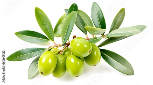 Wallpaper Mural Close up shot of green olives on a branch with green leaves isolated against a white background Torontodigital.ca