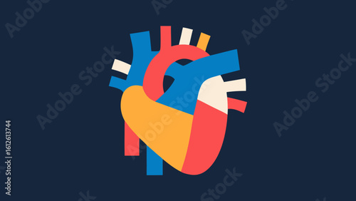 Colorful flat design illustration of a human heart on a dark blue background