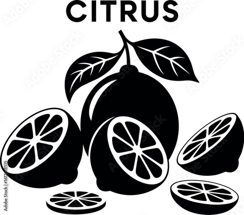 Black and white illustration of citrus fruit with leaves and slices