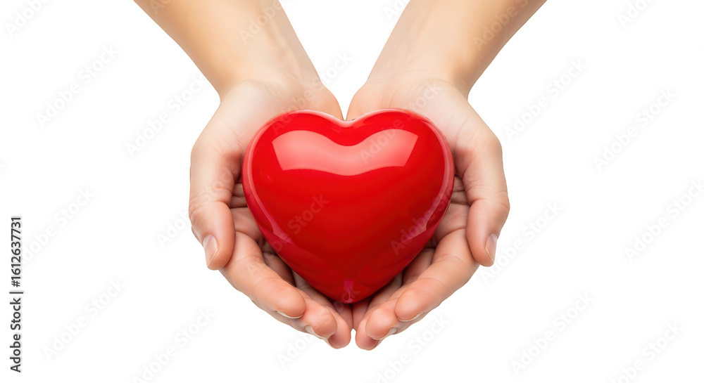 Fototapeta premium Two gentle human hands carefully cradling a shiny red heart symbol of love and care isolated on transparent background