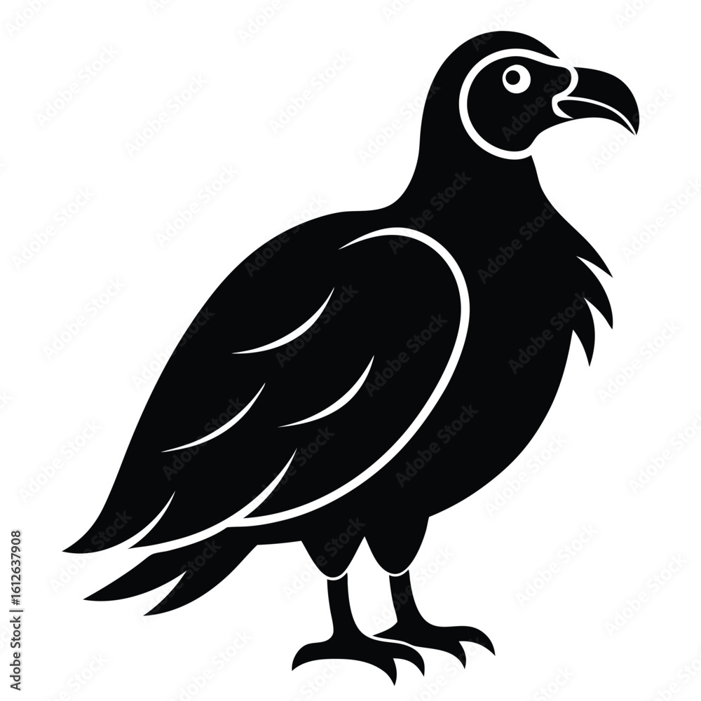 Fototapeta premium Solid color Turkey Vulture animal vector design