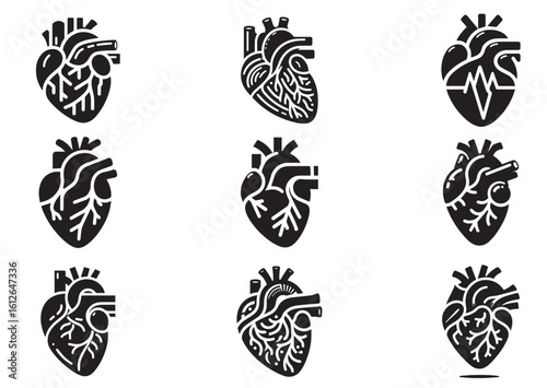 Anatomical heart silhouette vector illustration Set