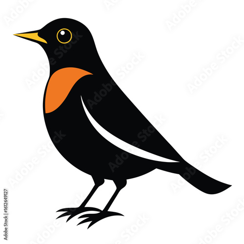 Solid color Thrush animal vector design
