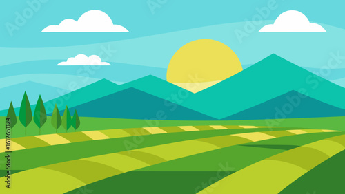 serene sky rice fields