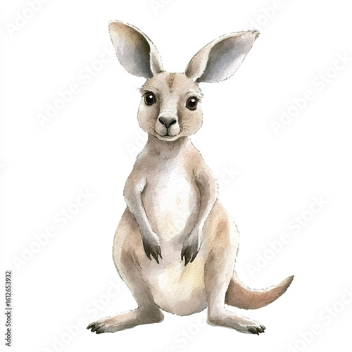 a cute animal of Kangaroo