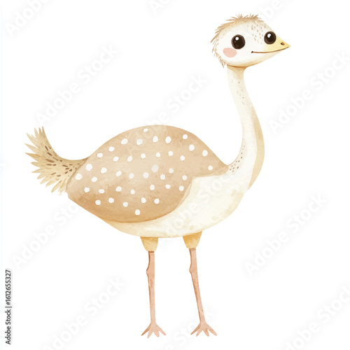 a cute animal of Ostrich