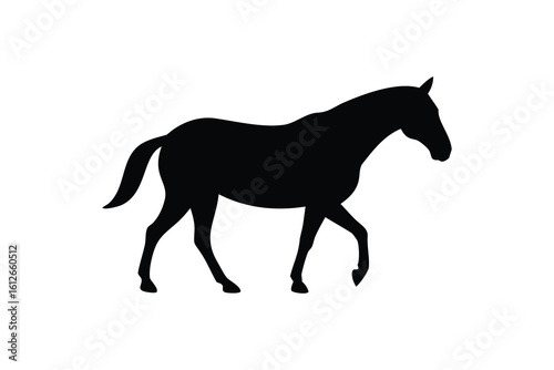 Silhouette of Horse Walking Side View Isolated on White Background
