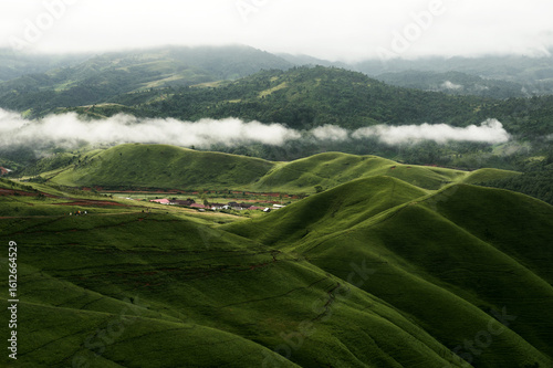 nature landscape