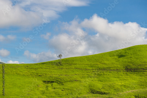nature landscape