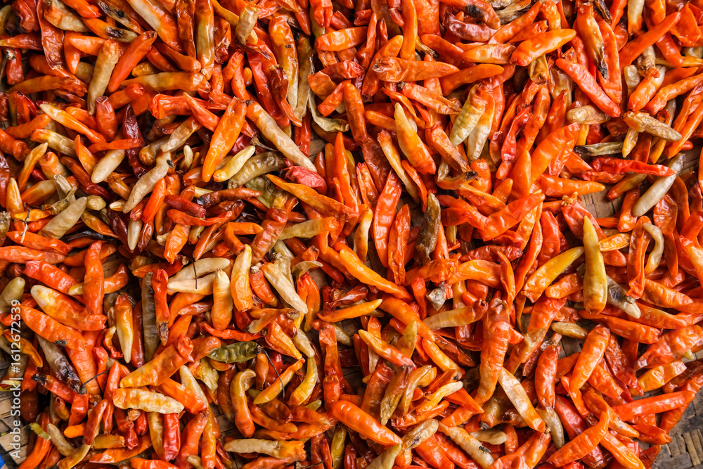 Fototapeta premium Freshly harvested chilies are sun-dried using traditional methods, then processed into products like chili powder, instant sambal, and chili extract to increase market value and farmers’ income.