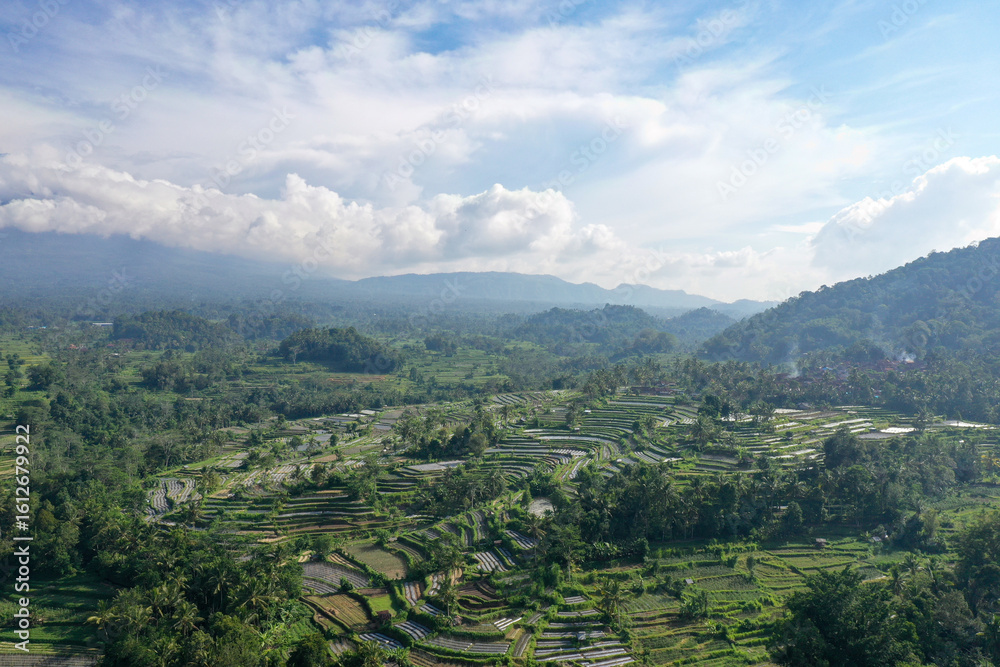 Fototapeta premium Sunlit Rice Terraces in a Mountain Valley with Cloudy Sky