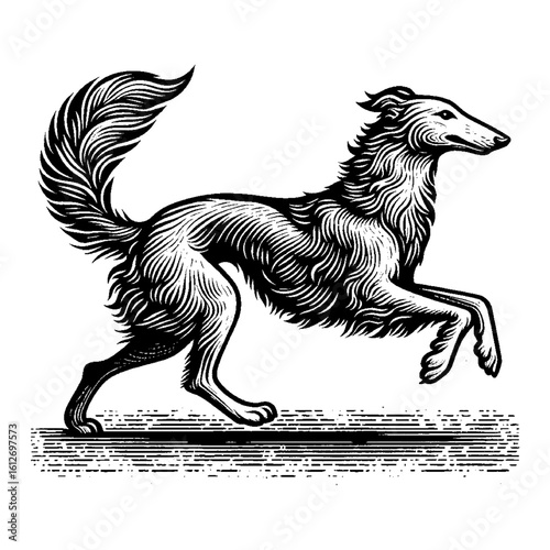 Graceful Borzoi Dog Running and Leaping with Textured Fur in Vintage Black and White Outline Line Art Drawing