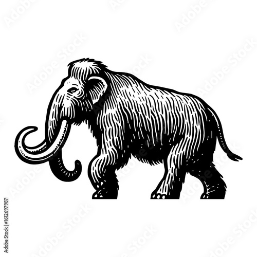 Prehistoric Walking Mammoth Side View Vintage Black and White Outline Line Art Drawing Engraved Style