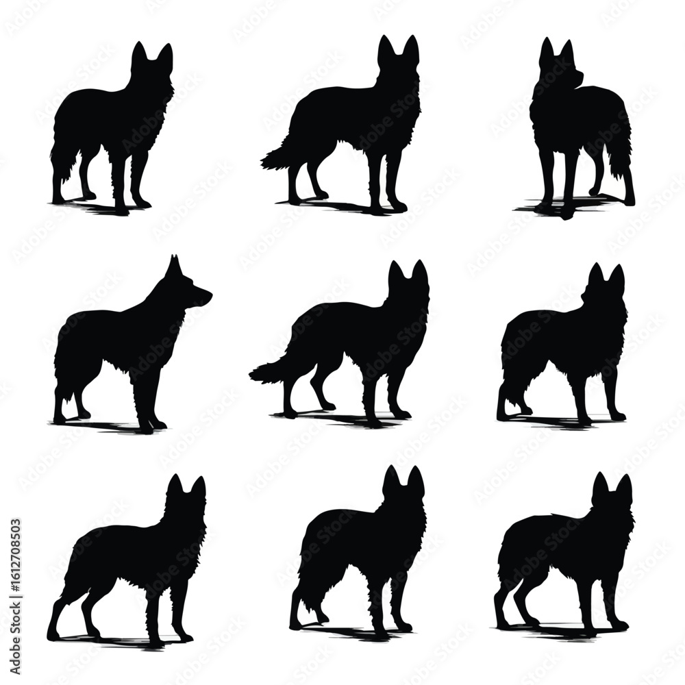 Fototapeta premium cattle dog silhouette set, Black & White silhouette set