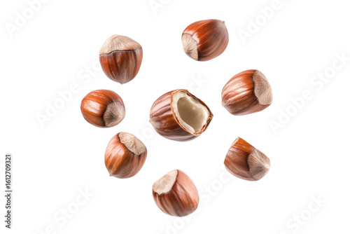Wallpaper Mural hazelnuts scattered isolated on transparent background Torontodigital.ca