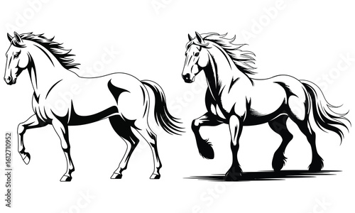 horse vector illustration