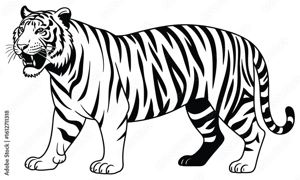 Naklejka premium tiger vector illustration