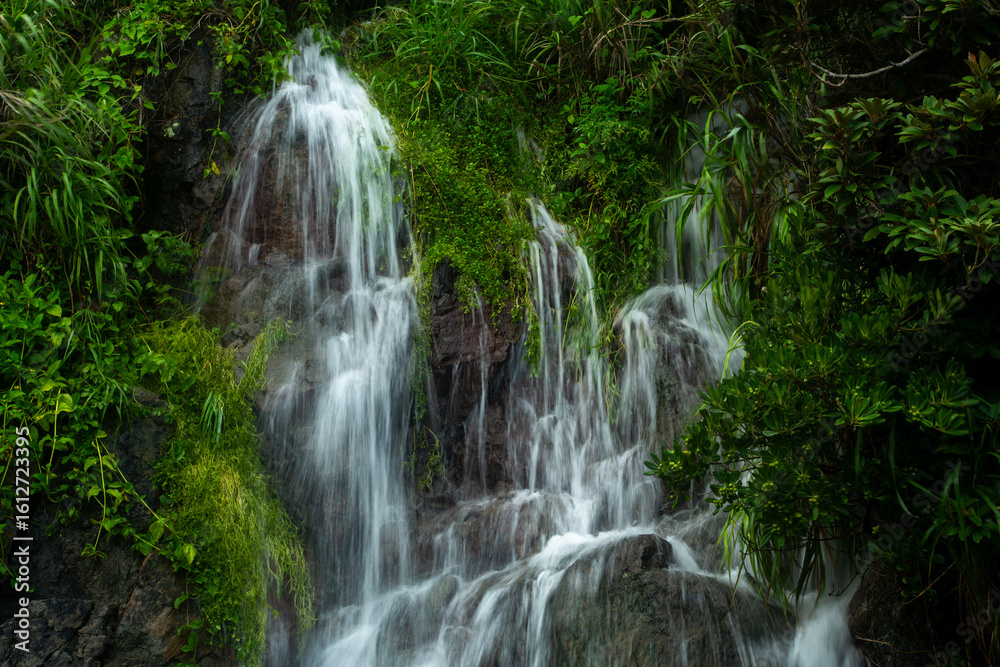 Obraz premium 奄美大島の夏の風景。糸をひく水の流れ。
