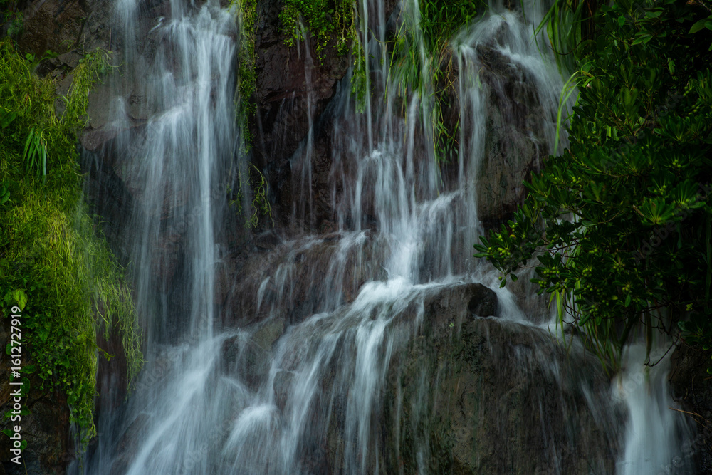 Fototapeta premium 奄美大島の夏の風景。糸をひく水の流れ。