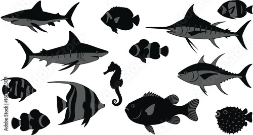 Create a kinds of deferent fish vector art silhouette with white background.