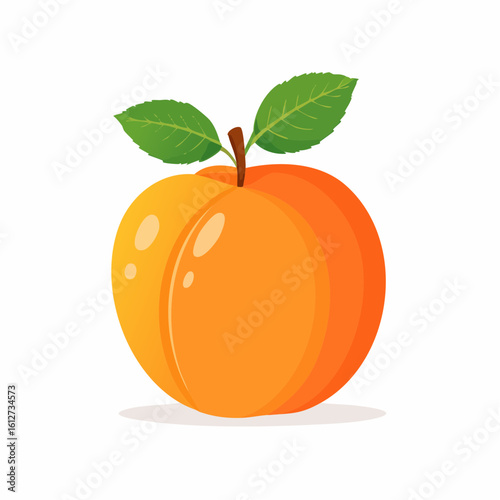 Vibrant apricot illustration showcasing its freshness and inviting visual appeal suitable