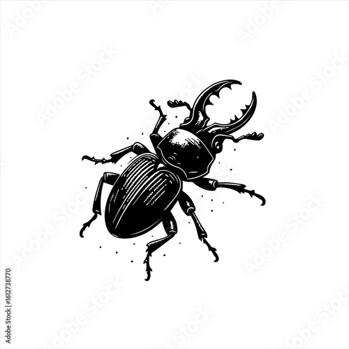 Stag beetle illustration isolated on white