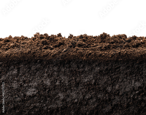 Close-up view of earth layers. Dark rich soil, top layer textured, with a slightly lighter subsoil below